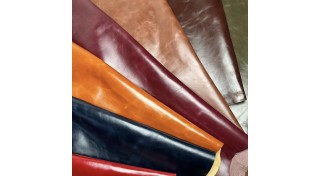 КРС Кентуки KENTUCKY (0)