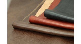 ВРХ вся шкіра (39)