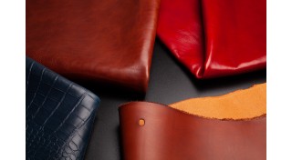 Галантерейна растішка (39)