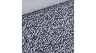 Ігуана, варан (12)