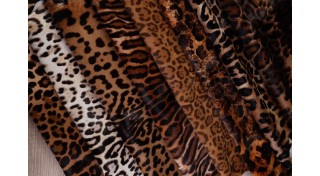 Поні, теля (8)