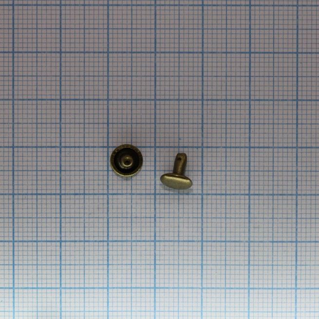 Aligo Group фото