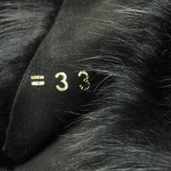 Aligo Group фото