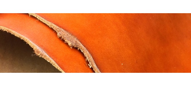 Виробництво готової шкіри зі шкур тварин