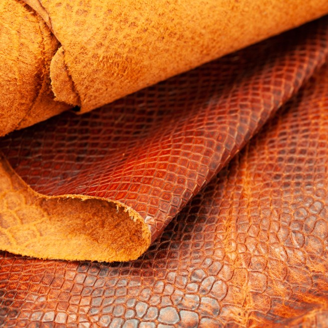 Aligo Group фото