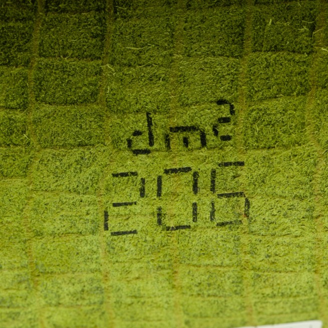 Aligo Group фото