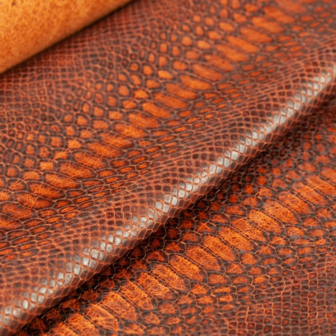 Aligo Group фото