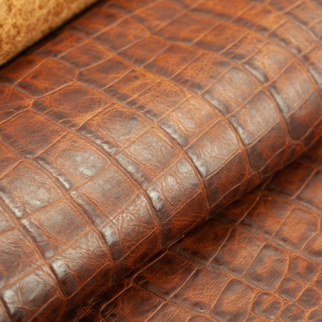 Aligo Group фото