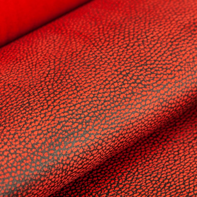 Aligo Group фото