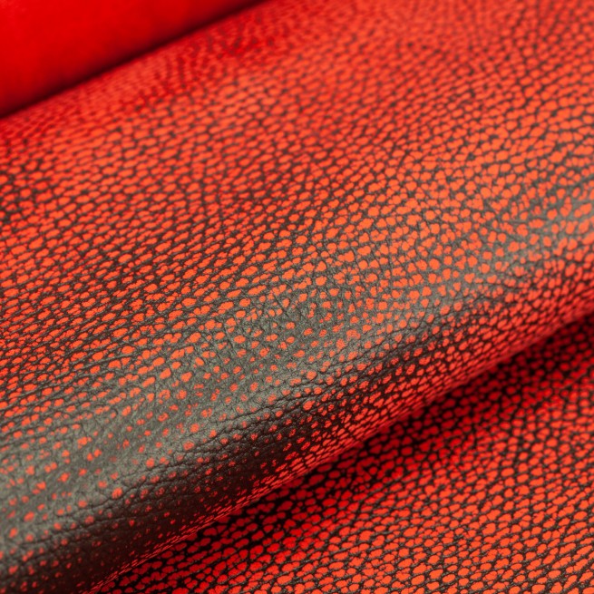 Aligo Group фото