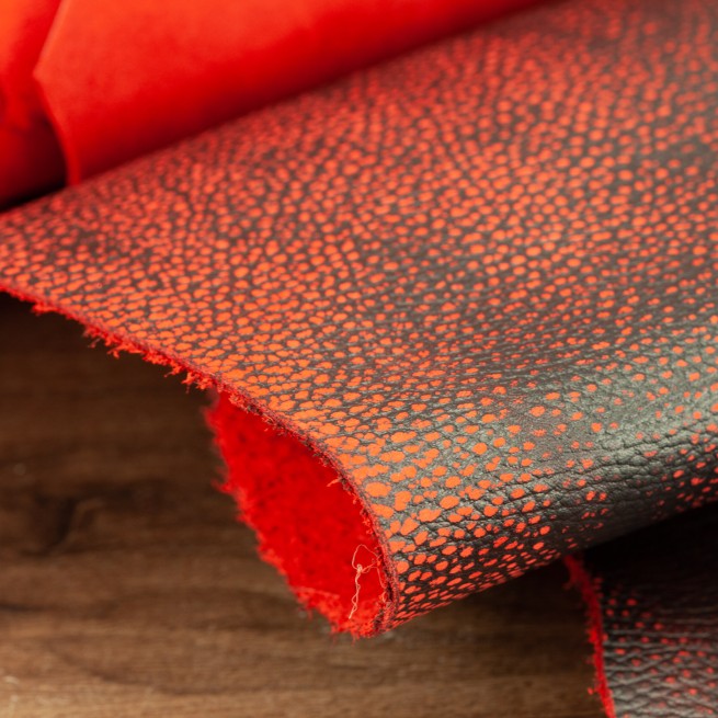 Aligo Group фото