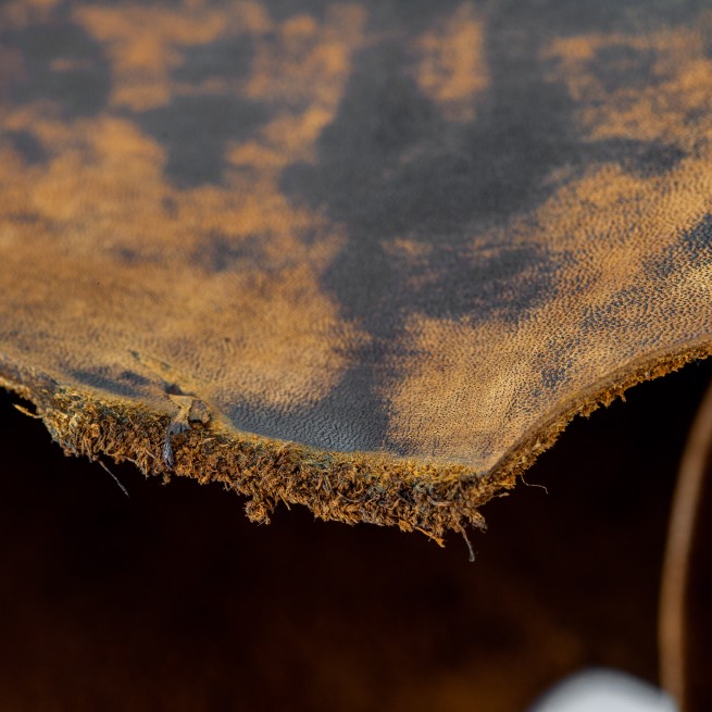 Aligo Group фото