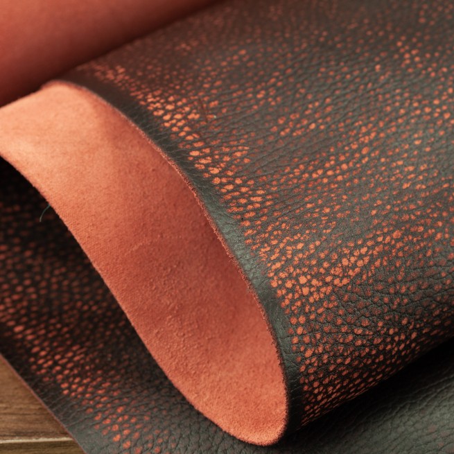 Aligo Group фото