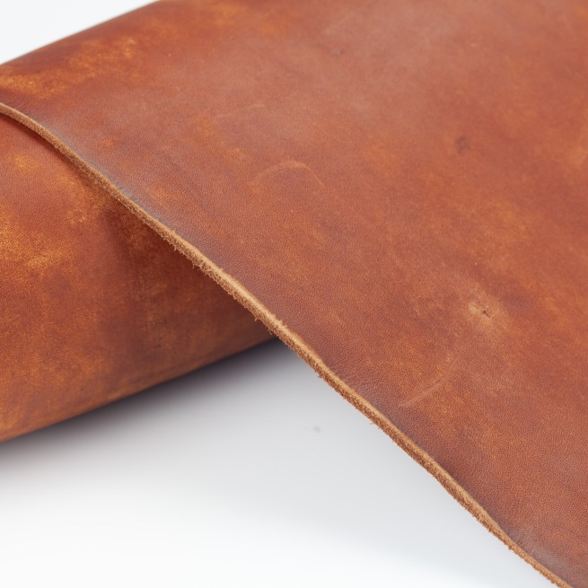 Aligo Group фото