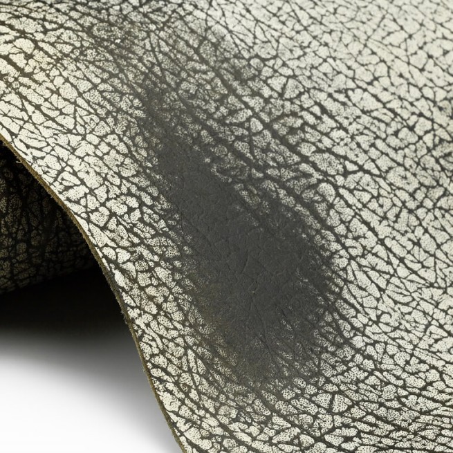 Aligo Group фото