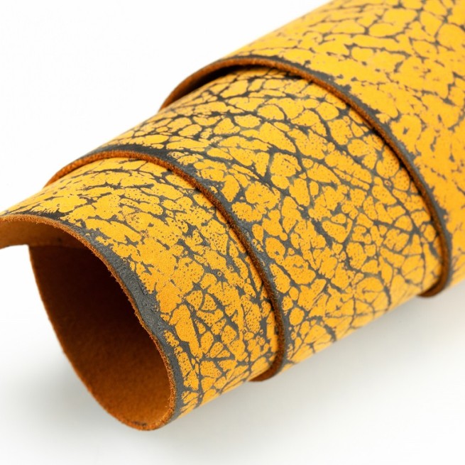 Aligo Group фото