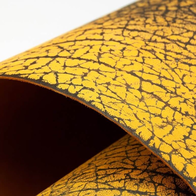 Aligo Group фото