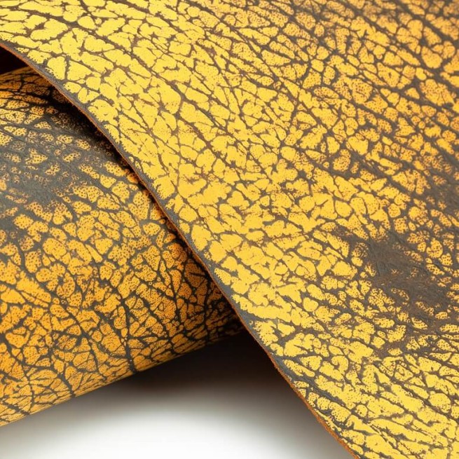 Aligo Group фото