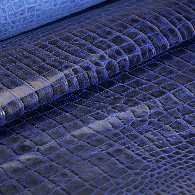 Aligo Group фото