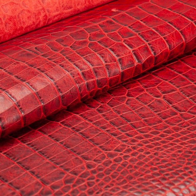 Aligo Group фото