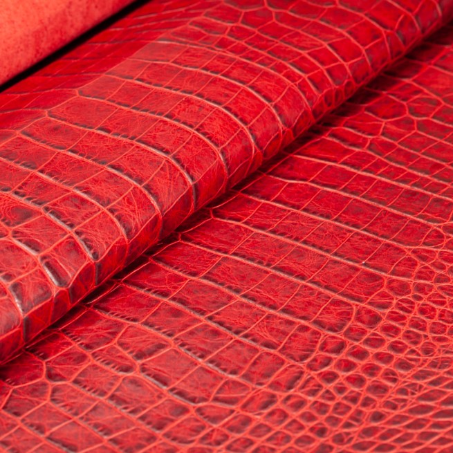 Aligo Group фото