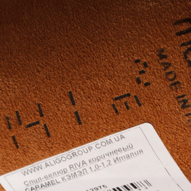 Aligo Group фото