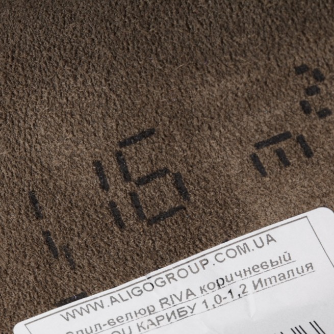 Aligo Group фото