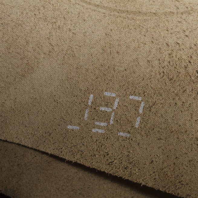 Aligo Group фото