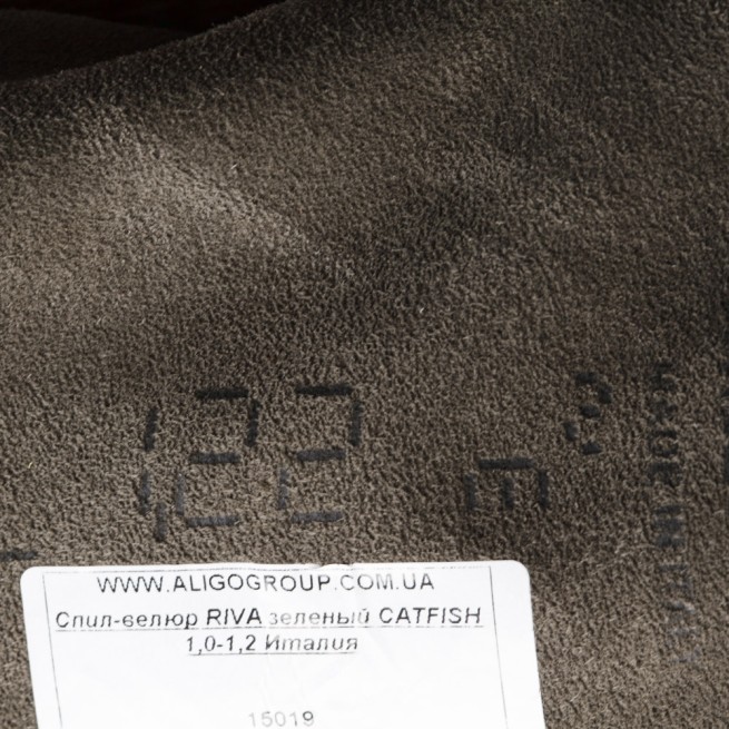 Aligo Group фото