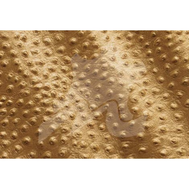 Aligo Group фото