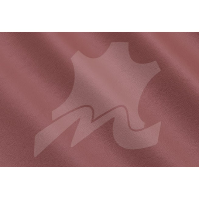 Aligo Group фото