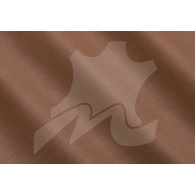 Aligo Group фото