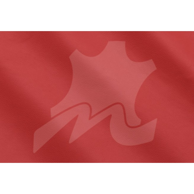 Aligo Group фото