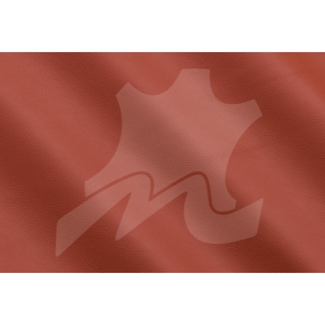 Aligo Group фото