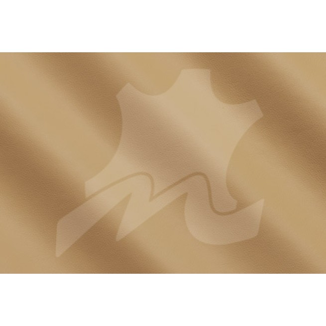 Aligo Group фото