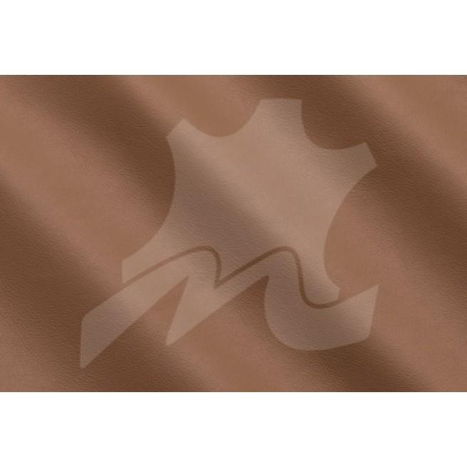 Aligo Group фото