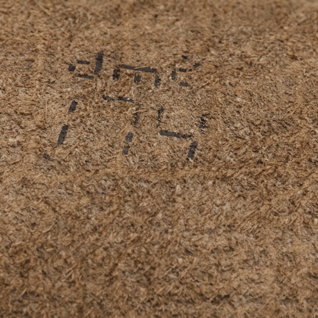 Aligo Group фото