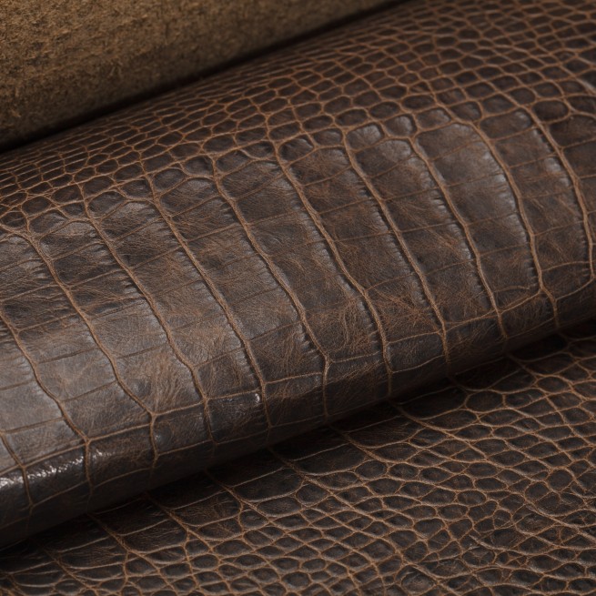 Aligo Group фото