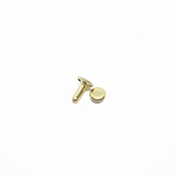 Хольнітен НАБІР КОМПЛЕКТ золото з ПЛОСКОЮ шляпкою 8 мм і ніжкою 10 мм