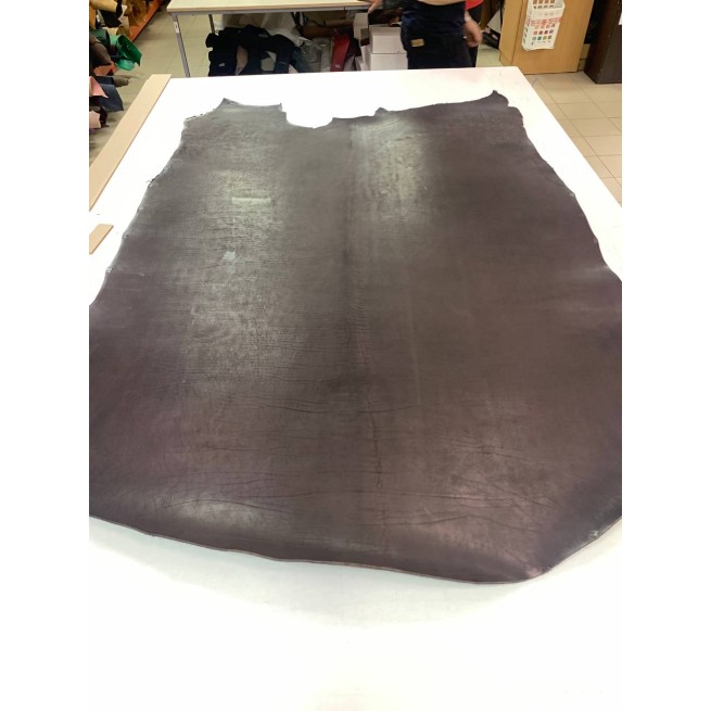 Aligo Group фото