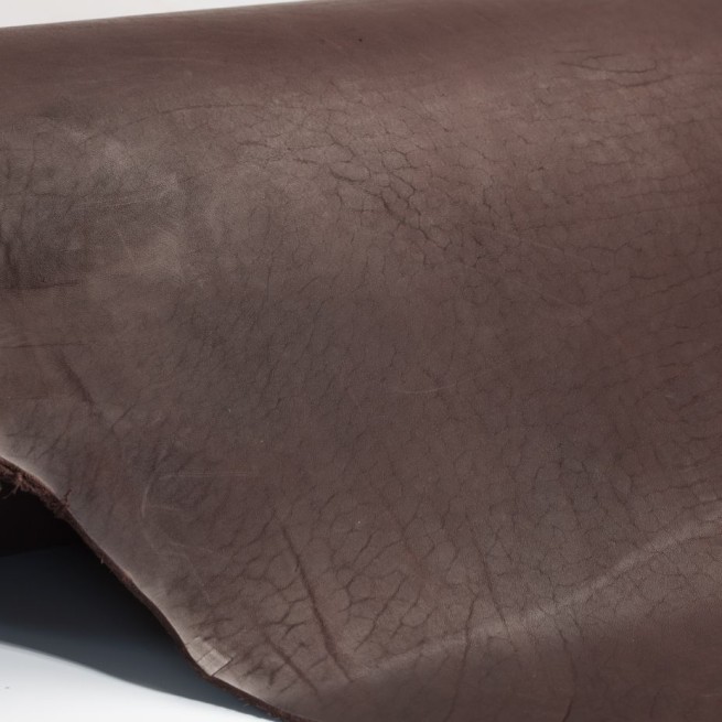 Aligo Group фото