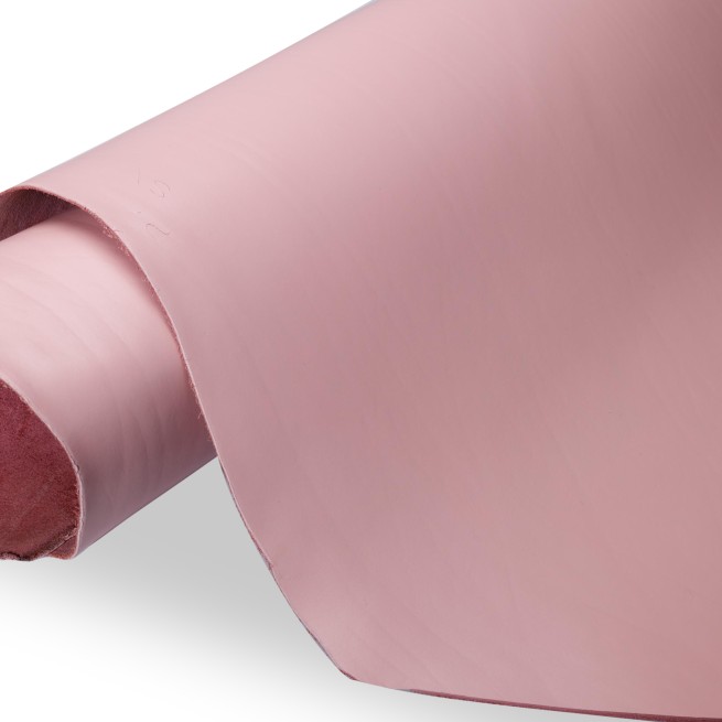 Aligo Group фото