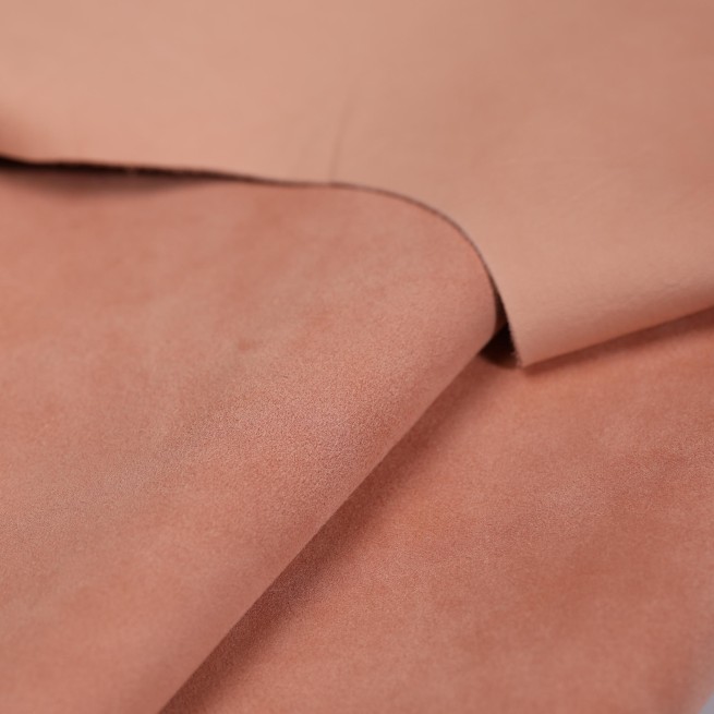 Aligo Group фото