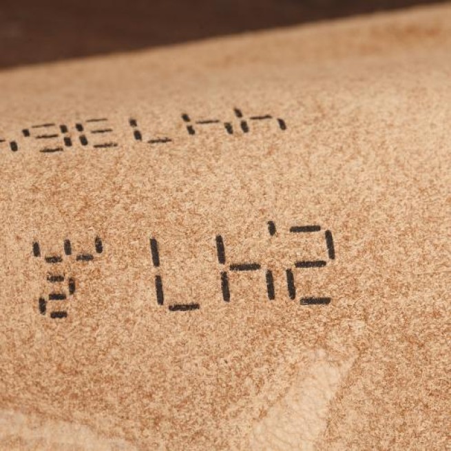 Aligo Group фото