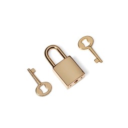 Замок ЗОЛОТО навесной с ключиками 33 мм тип D0103