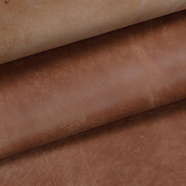 Aligo Group фото