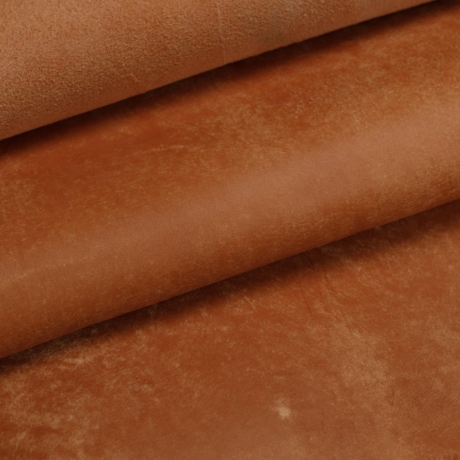 Aligo Group фото