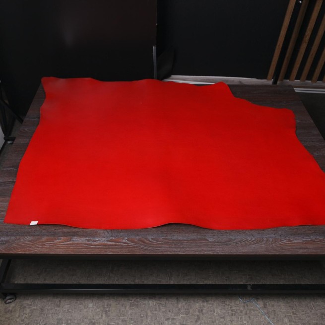 Aligo Group фото