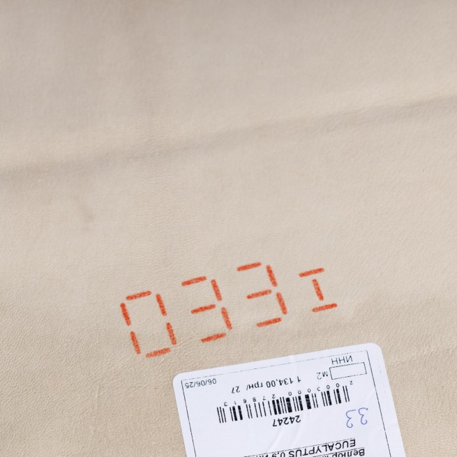 Велюр метис беж GALILEO EUCALYPTUS 0,9 Італія