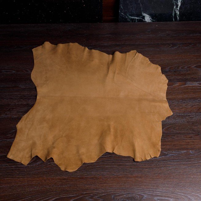 Aligo Group фото